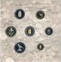 2008. 1Ft-100Ft (7xklf) "Búcsú az egy- és kétforintostól" forgalmi sor szettben T:PP patin...