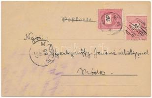 1898 Carneval XVII/10. Art Nouveau lady art postcard. Wiener Künstler-Postkarte. Druck und Verlag Ph...