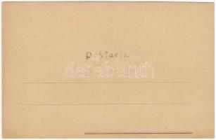 1898 Carneval XVII/6. Art Nouveau lady art postcard. Wiener Künstler-Postkarte. Druck und Verlag Phi...