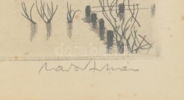 Zádor István (1882-1963): Árvíz. rézkarc, papír, jelzett, üvegezett fa keretben, 15x34 cm