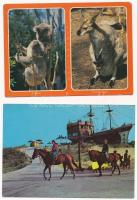 20 db MODERN állatos képeslap / 20 modern animal motive postcards