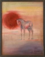 Szántó Piroska jelzéssel: Ló a szabadban. Olaj, vászon. sérült keretben. 70x55cm