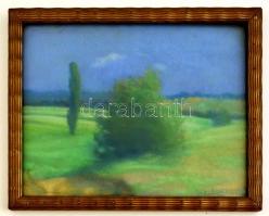 Olvashatatlan jelzéssel: Bokor fával, akvarell, papír, üvegezett fa keretben, 23×29 cm