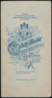 cca 1890 Hölgy portréja, Székely Aladár műterméből, díszes hátoldallal, 20x11 cm