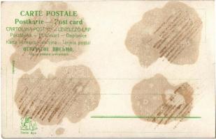 Macska füstölgő szivarral / Cat with cigar (r)