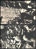 cca 1974 Őri Tóth István (1954-2010) székesfehárvári fotóművész 5 db feliratozott, vintage fotóművészeti alkotása (És aztán elmentek az emberek I-V.), a magyar fotográfia avantgarde korszakából, 24x18 cm