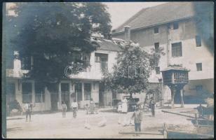 cca 1910 Udvar fotója, galambdúccal, képeslap hátoldalú fotó, 9x14 cm