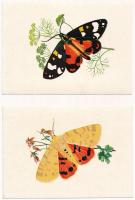 LEPKÉK - 18 db modern grafikai lap lepkékkel és pillangókkal a saját tokjában, Zombory Éva szignójával / 18 modern graphic art motive cards with butterflies in its own case, signed by Éva Zombory