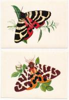 LEPKÉK - 18 db modern grafikai lap lepkékkel és pillangókkal a saját tokjában, Zombory Éva szignójáv...