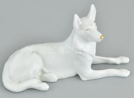 Hollóházi fekvő kutya (németjuhász), fehér mázas porcelán, jelzett, hibátlan. h: 20,5 cm