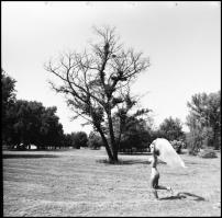 Több fotómodell közreműködésével, különböző időpontokban és eltérő helyszíneken készült felvételek, ...