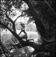 Hókusz-pókusz, itt a fókusz, több fotómodell közreműködésével, különböző időpontokban és eltérő hely...