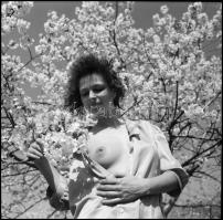 Hókusz-pókusz, itt a fókusz, több fotómodell közreműködésével, különböző időpontokban és eltérő hely...