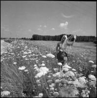 Kint is, bent is - akt tanulmányok, több fotómodell közreműködésével, különböző időpontokban és elté...