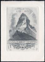 Alfred Soder (1880-1957): Ex libris Karl Robert Schäfer . Rézkarc, papír, jelzett a karcon, 11×7,5 cm