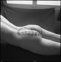 Női bájak karneválja, több fotómodell közreműködésével, különböző időpontokban és eltérő helyszíneke...