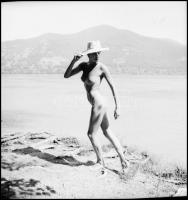 Női bájak karneválja, több fotómodell közreműködésével, különböző időpontokban és eltérő helyszíneke...