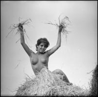 Női bájak karneválja, több fotómodell közreműködésével, különböző időpontokban és eltérő helyszíneke...