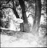 Fényképezni szabad, rosszalkodni tilos! Menesdorfer Lajos (1941-2005) budapesti fotóművész hagyatékából, 5 db vintage NEGATÍV az aktfényképezés műfajából, 6x6 cm