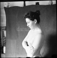 Esztétikai élmények, több fotómodell közreműködésével, különböző időpontokban és eltérő helyszíneken...