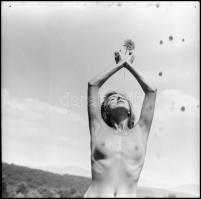 Több fotómodell közreműködésével, különböző időpontokban és eltérő helyszíneken készült felvételek, ...