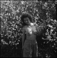 Különféle időpontokban készült felvételek, Menesdorfer Lajos (1941-2005) budapesti fotóművész hagyat...