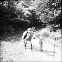 Különféle időpontokban készült felvételek, Menesdorfer Lajos (1941-2005) budapesti fotóművész hagyat...