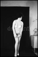 cca 1972 Böbe végre levette a bugyiját, szolidan erotikus felvételek, 4 db vintage NEGATÍV, 36x24 mm