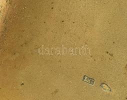 Ezüst (Ag): Címeres szivar szelence. Jelzett. nettó: 201g, 13x9 cm