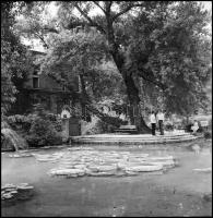 cca 1967 Budapest, Margit-sziget és a szabadtéri színpad, 30 db vintage NEGATÍV, Kotnyek Antal (1921...