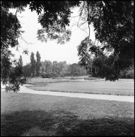 cca 1967 Budapest, Margit-sziget és a szabadtéri színpad, 30 db vintage NEGATÍV, Kotnyek Antal (1921...