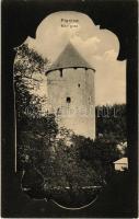 Planina (Postojna), Mali grad / castle, tower. Ivan Kunc fotograf
