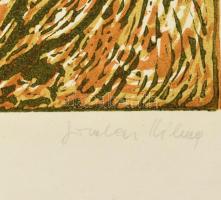 Somlai Vilma (1938-2007): Virágos domb. Színes linómetszet, papír, jelzett, hátoldalán Rézkarcoló Mű...