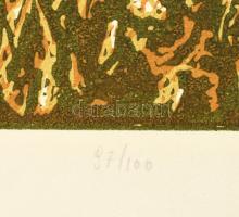 Somlai Vilma (1938-2007): Virágos domb. Színes linómetszet, papír, jelzett, hátoldalán Rézkarcoló Mű...