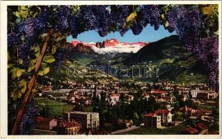 Bolzano, Bozen (Südtirol); Bolzano-Gries. Montage with grapes