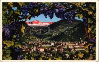 Bolzano, Bozen (Südtirol); Bolzano-Gries. Montage with grapes (EK)