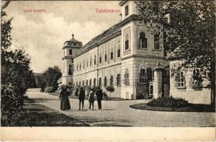 1909 Tatatóváros, Grófi kastély