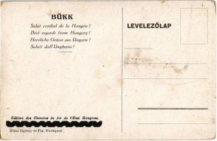 Lillafüred (Miskolc), Szépségével elbűvöl a vadregényes Bükk. A Magyar Királyi Államvasutak (MÁV) tu...