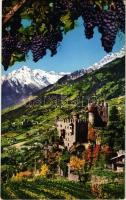 Merano, Meran (Südtirol); Castello Fontana / castle. Montage with grapes