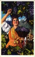 Merano, Meran (Südtirol); Montage with grape harvesting lady, South Tyrolean folklore