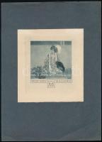 Franz von Bayros (1866-1924): Ex libris AW erotikus Heliogravür, papír, jelzett a nyomaton 11x8 cm