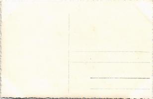 Újvidék, Novi Sad; Pétervárad vár, felrobbantott híd, magyar katonák / Grad Petrovaradin / Festung P...