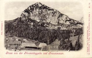 Neuwaldeggalm