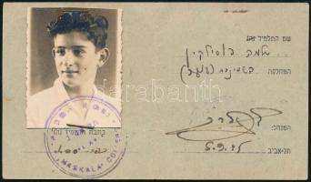 1945 Palesztina, fényképes gimnáziumi igazolvány