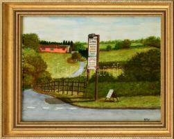 Varw (?) jelzéssel: Út a farmhoz. Akvarell, papír. Üvegezett, dekoratív fa keretben, 30,5×39,5 cm