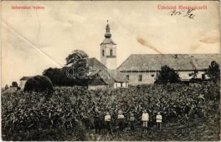 1915 Rimaszécs, Rimavska Sec, Siac; Református templom, kukoricás gyerekekkel / Calvinist church, corn field with children (fa)