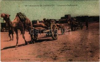 Djibouti, Chariots Indigenes / camel carts (EK)