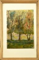 Olvashatatlan jelzéssel: Erdőszéle. Akvarell, papír. Dekoratív, üvegezett fa keretben, 29x21,5 cm