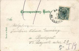 1902 Maria Enzersdorf, Totale, Kirche mit Kloster, altes Schloss Liechtenstein / general view, castl...