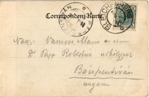 1906 Bad Gleichenberg (Steiermark), Hotel Mailand / hotel, waiters. Verlag Josef Hötzl (EK)